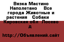 Вязка Мастино Наполетано  - Все города Животные и растения » Собаки   . Кировская обл.,Лосево д.